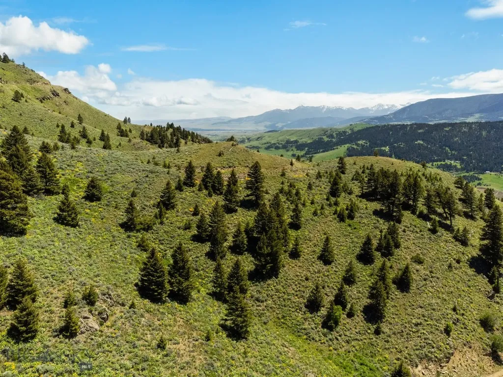 Lot 9 Sunflower Lane Livingston MT 59047