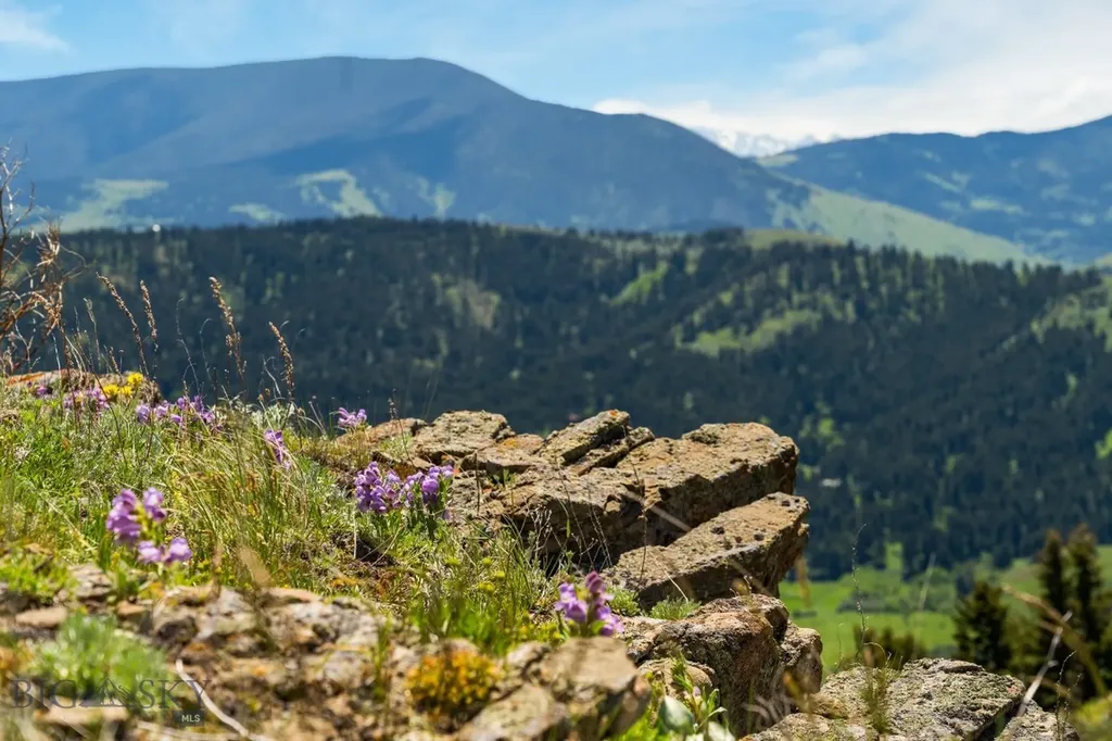Lot 9 Sunflower Lane Livingston MT 59047