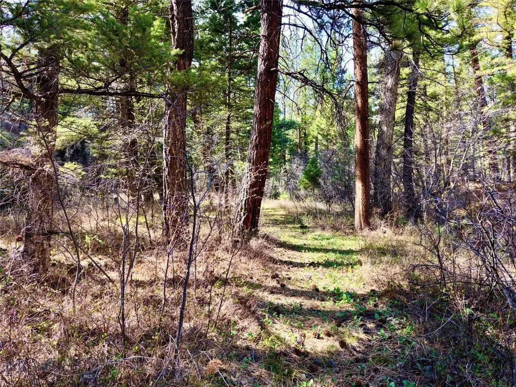 3925 Little Wolf Creek Road Wolf Creek MT 59648