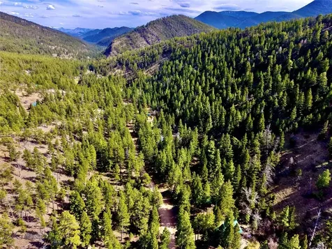 3925 Little Wolf Creek Road Wolf Creek MT 59648