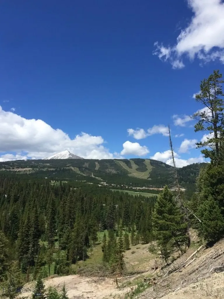 Tbd Bitterbrush Trail Big Sky MT 59716