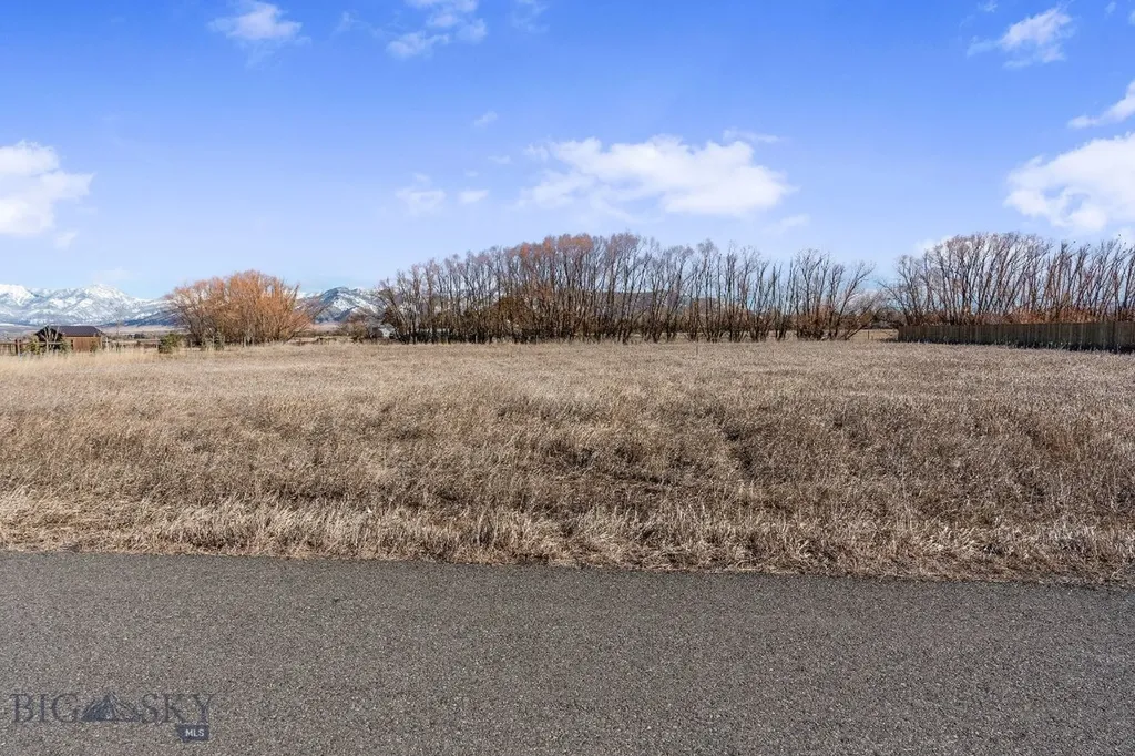 Lot 2a Bison Trail Bozeman MT 59718