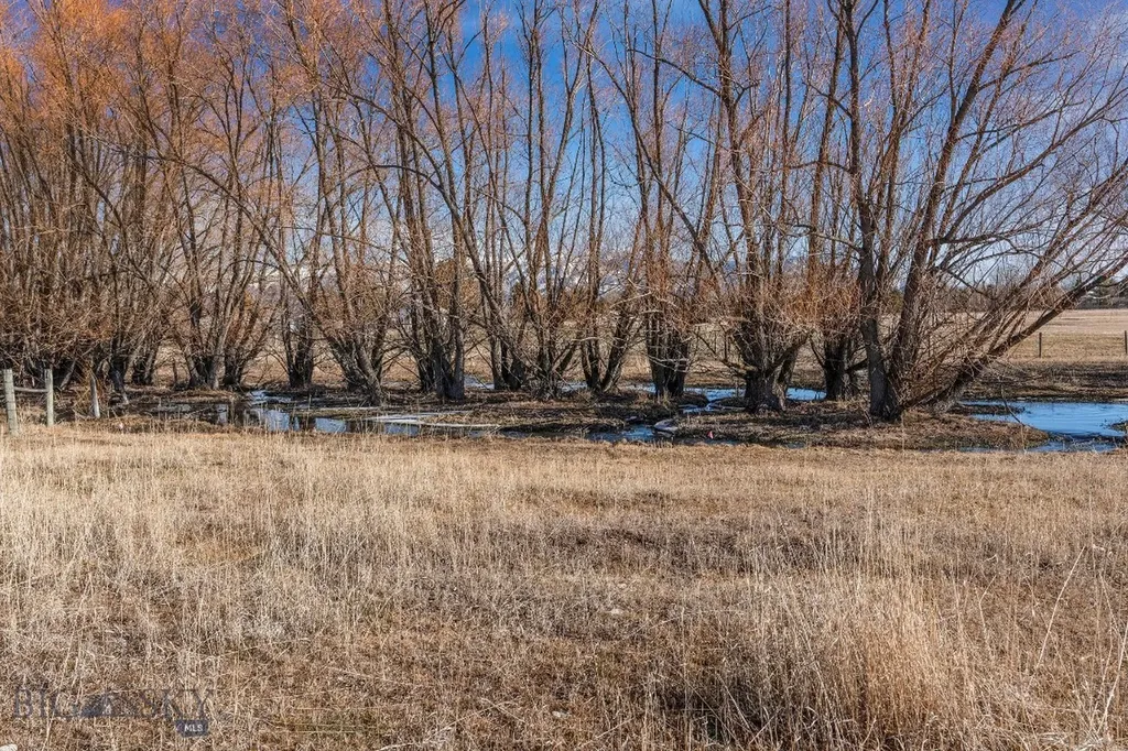 Lot 2a Bison Trail Bozeman MT 59718