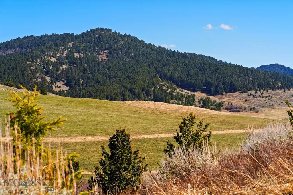 2368 Jackson Creek Road Bozeman MT 59715