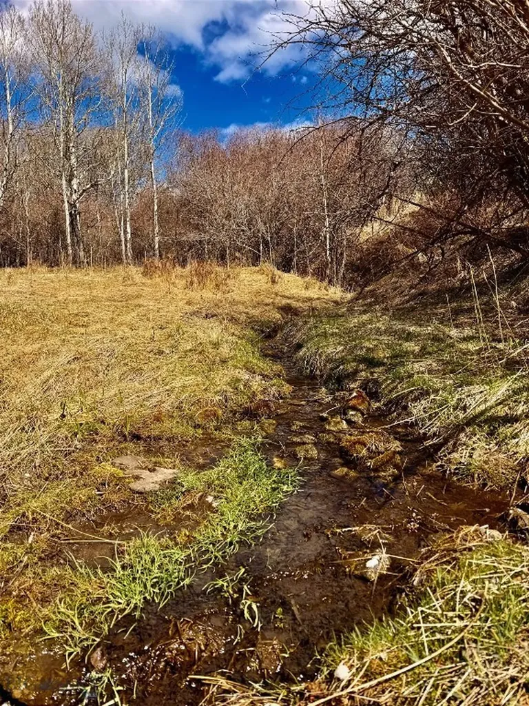 2368 Jackson Creek Road Bozeman MT 59715