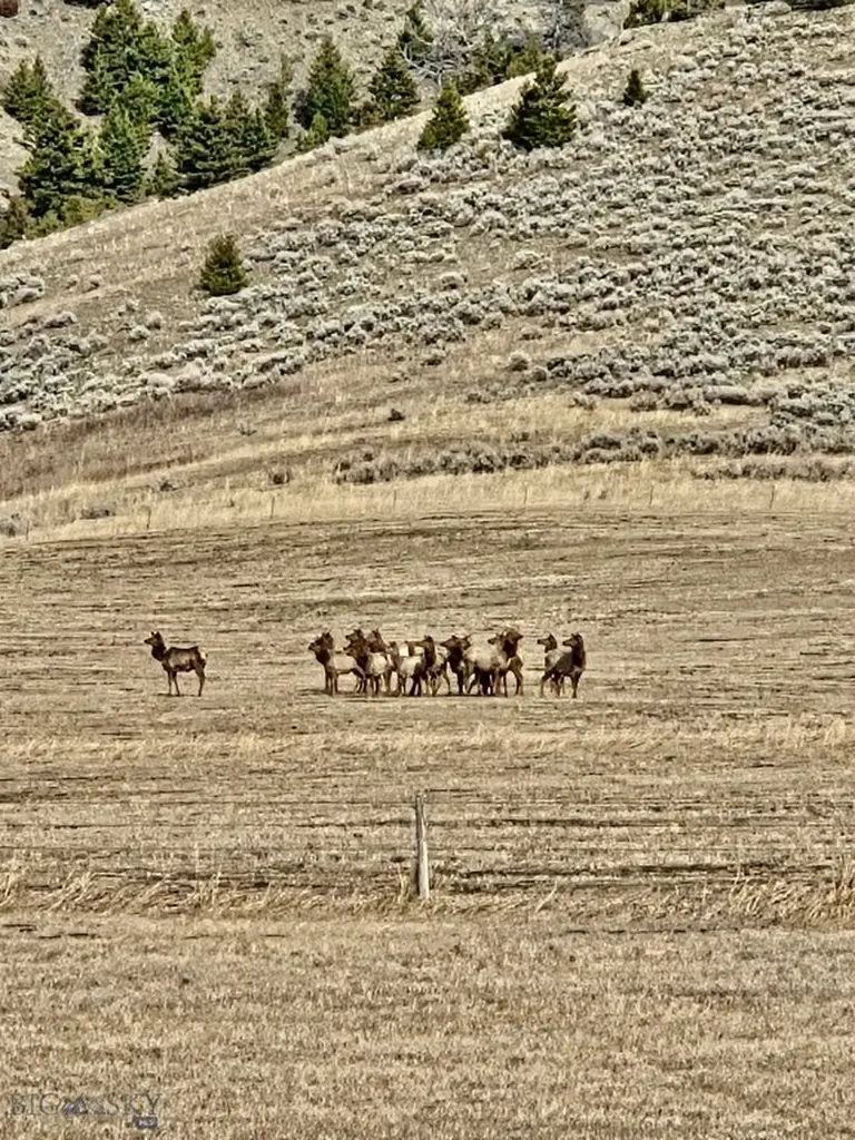 2368 Jackson Creek Road Bozeman MT 59715