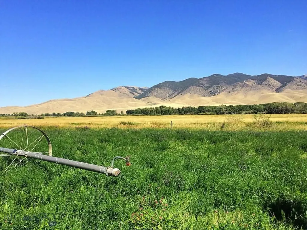 Tbd Schoolhouse Road Glen MT 59732