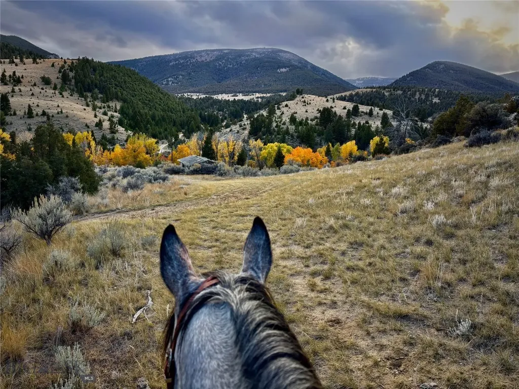 Tbd Schoolhouse Road Glen MT 59732