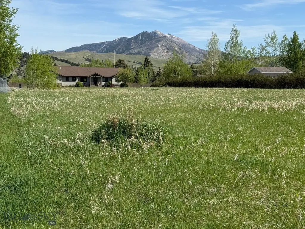 Tbd Golden Trout Way Bozeman MT 59715