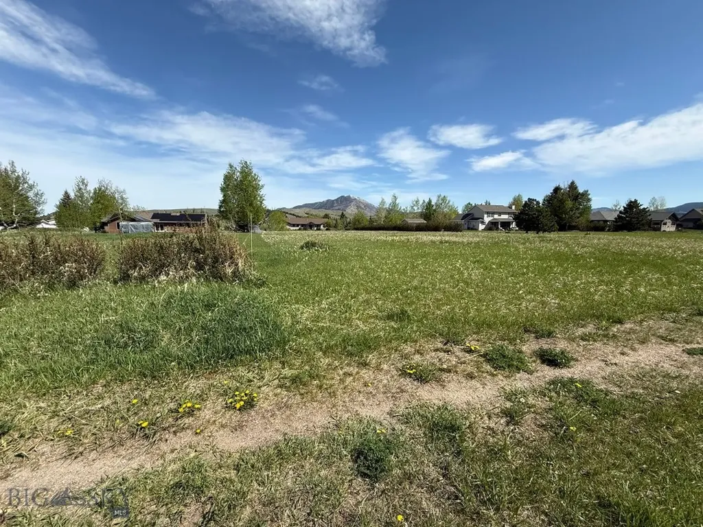 Tbd Golden Trout Way Bozeman MT 59715