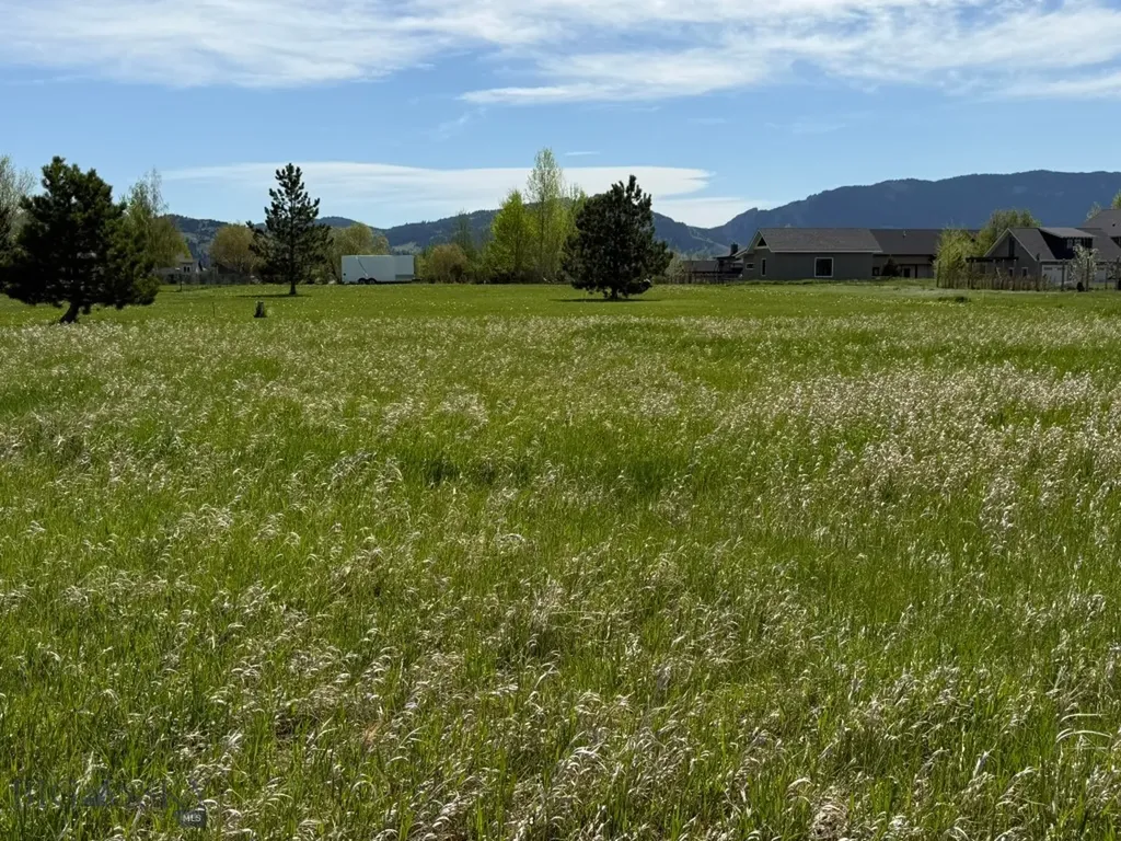 Tbd Golden Trout Way Bozeman MT 59715