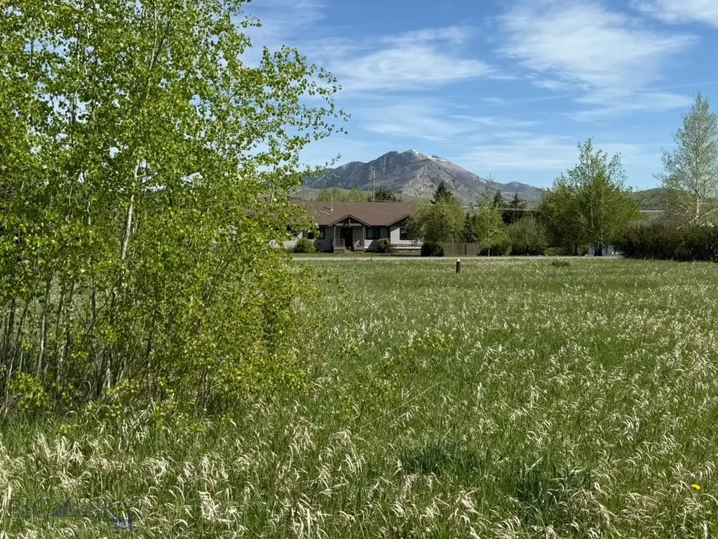 Tbd Golden Trout Way Bozeman MT 59715