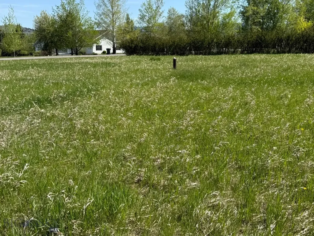 Tbd Golden Trout Way Bozeman MT 59715