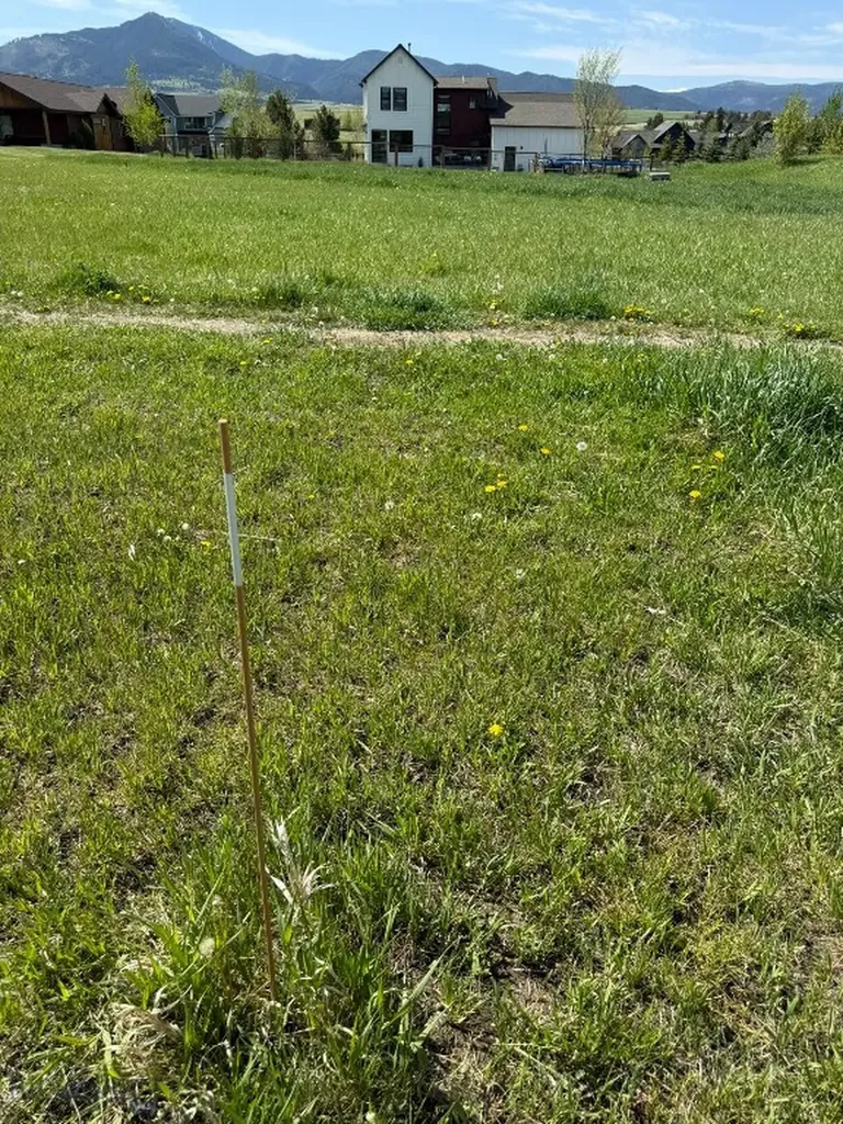 Tbd Golden Trout Way Bozeman MT 59715