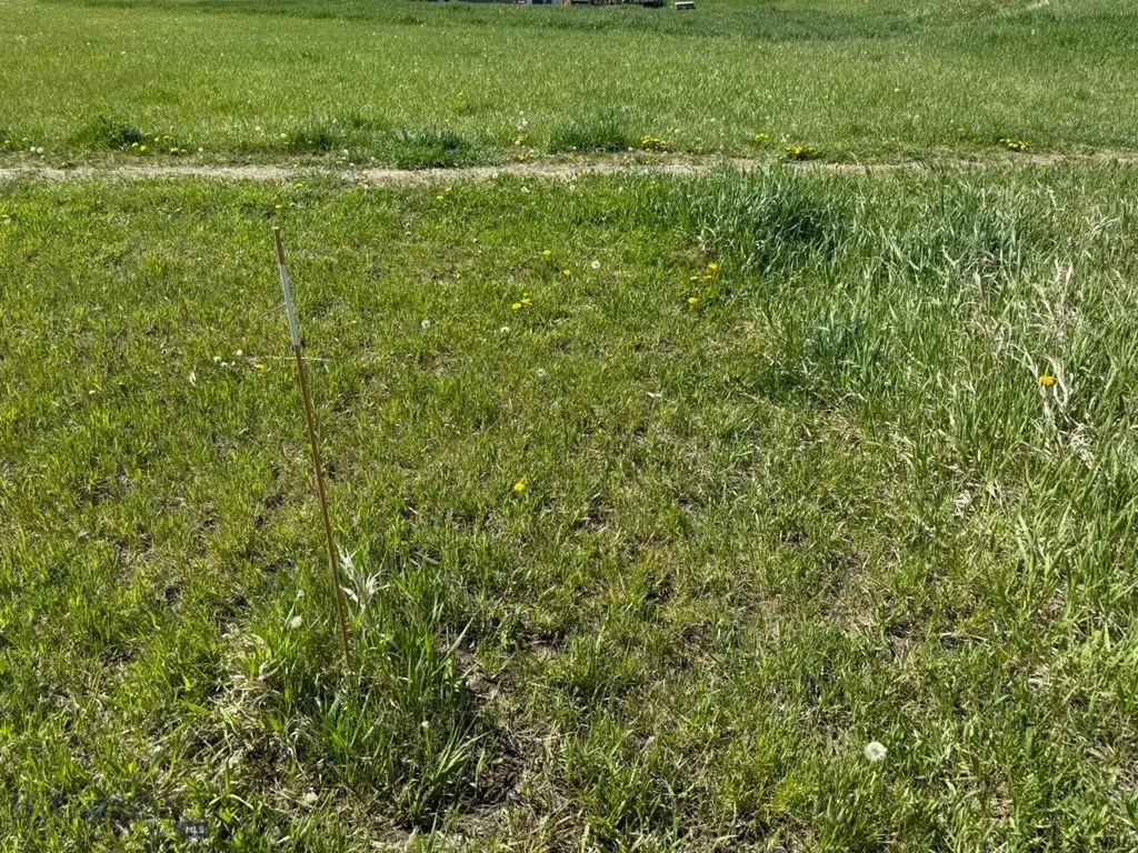Tbd Golden Trout Way Bozeman MT 59715