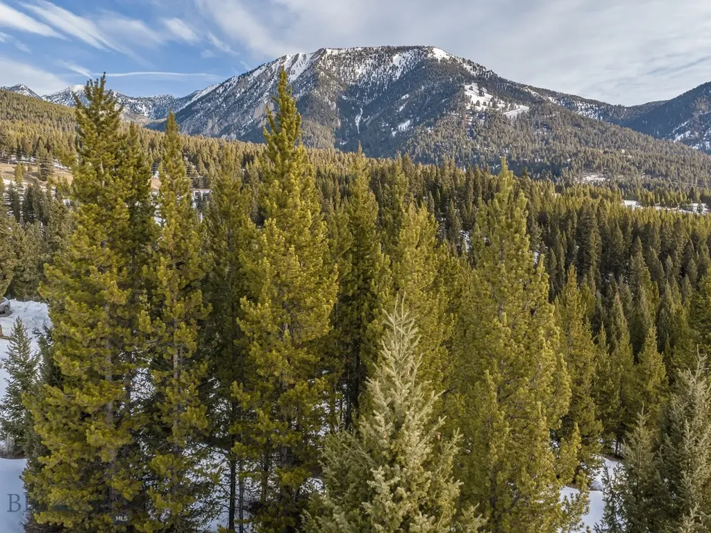 768 Antler Ridge Big Sky MT 59716