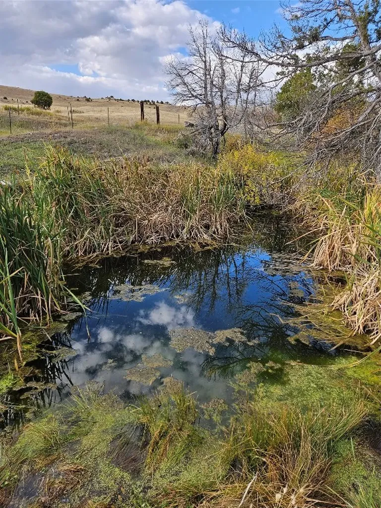 1590 Four Rivers Road Three Forks MT 59752