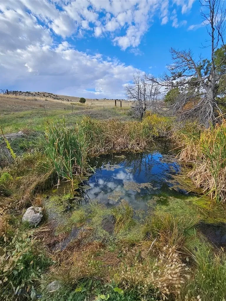 1590 Four Rivers Road Three Forks MT 59752