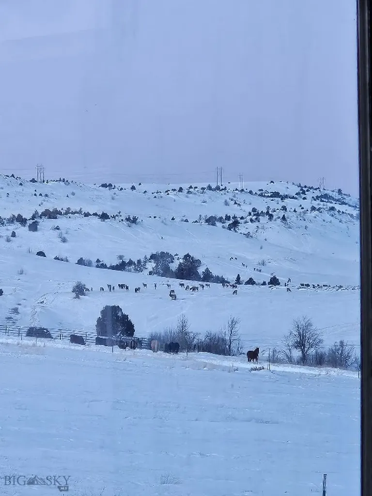 1590 Four Rivers Road Three Forks MT 59752