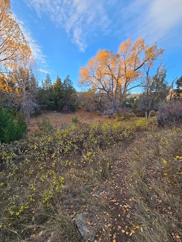 1590 Four Rivers Road Three Forks MT 59752