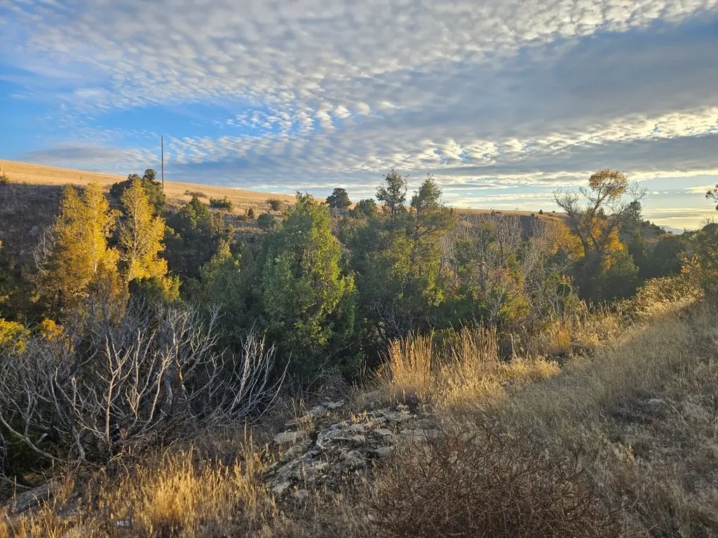 1590 Four Rivers Road Three Forks MT 59752