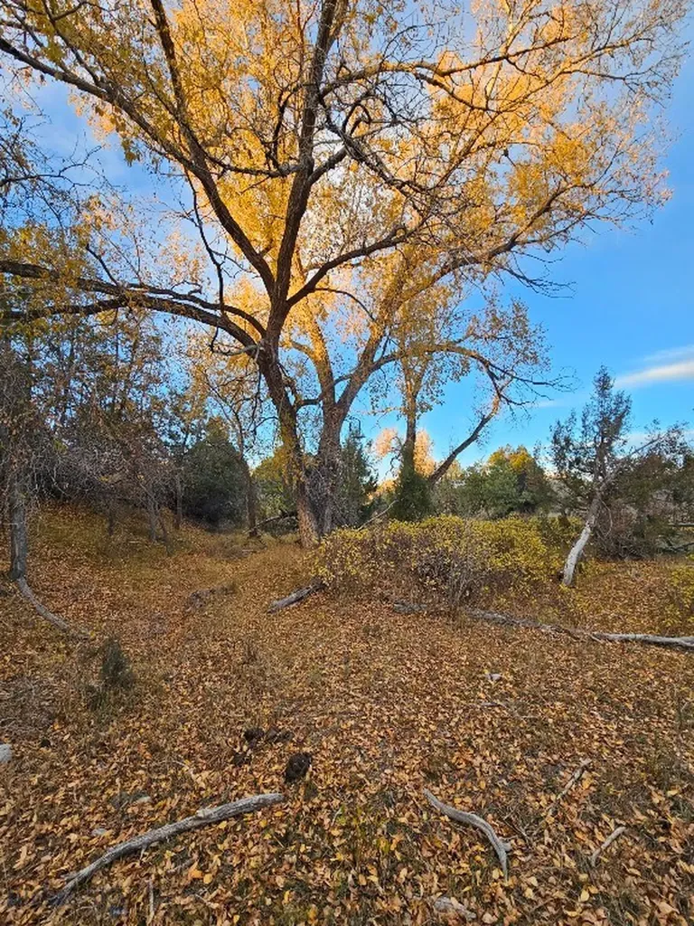 1590 Four Rivers Road Three Forks MT 59752