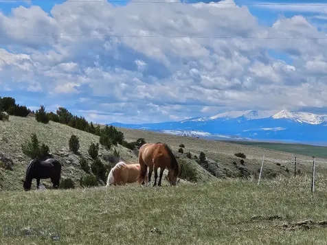 1590 Four Rivers Road Three Forks MT 59752