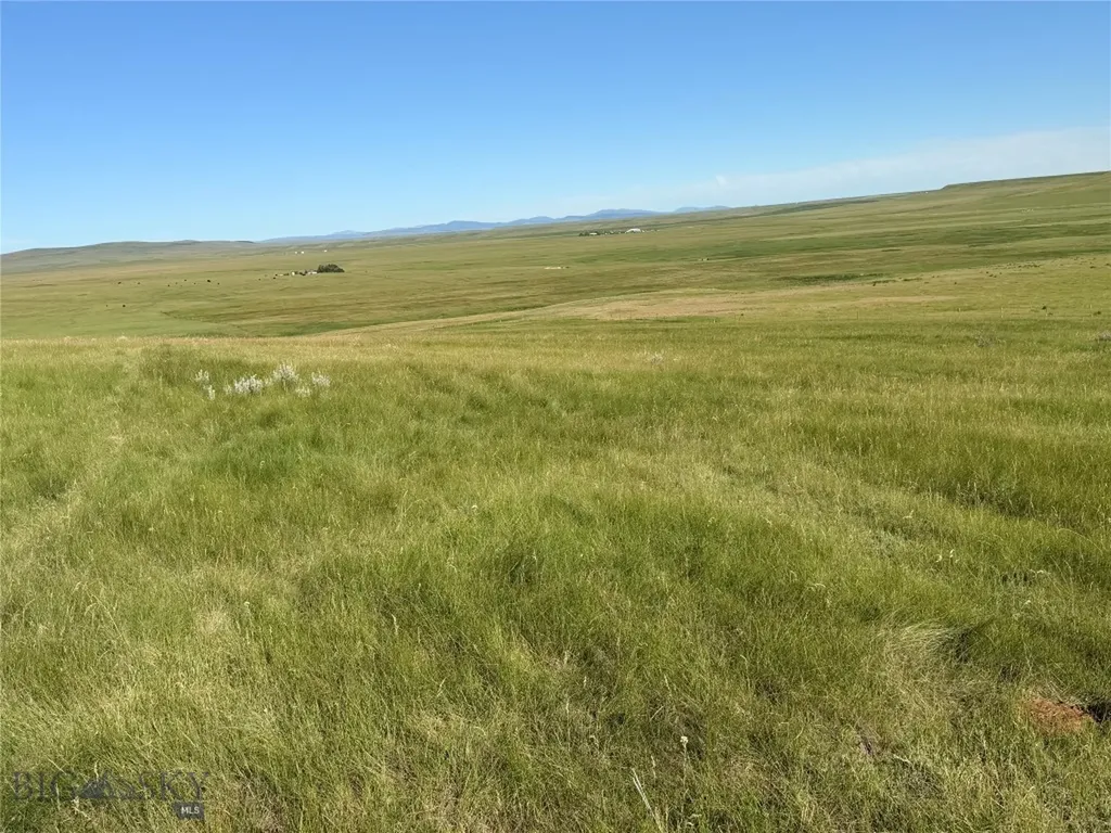 Tbd Ubet Road Buffalo MT 59418
