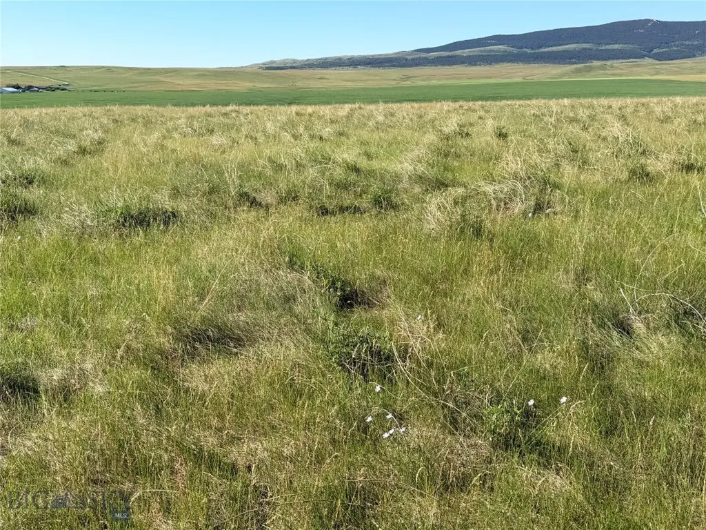 Tbd Ubet Road Buffalo MT 59418