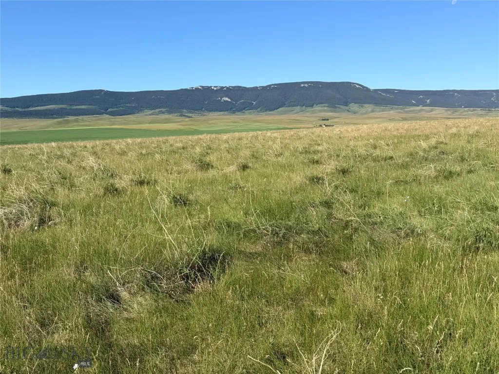 Tbd Ubet Road Buffalo MT 59418