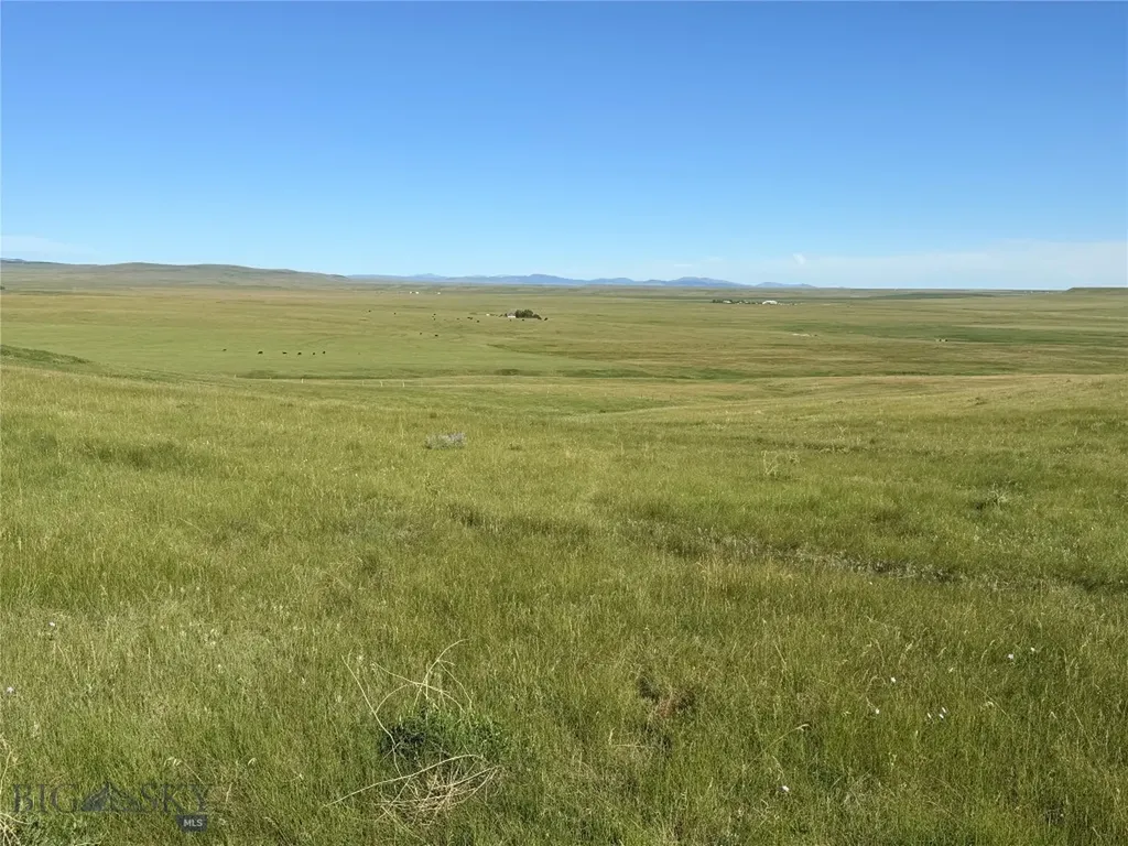 Tbd Ubet Road Buffalo MT 59418
