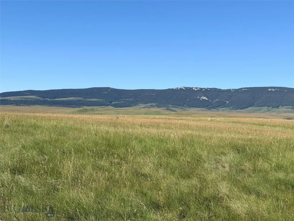 Tbd Ubet Road Buffalo MT 59418
