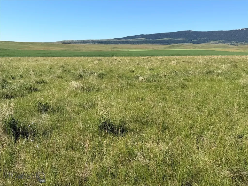 Tbd Ubet Road Buffalo MT 59418