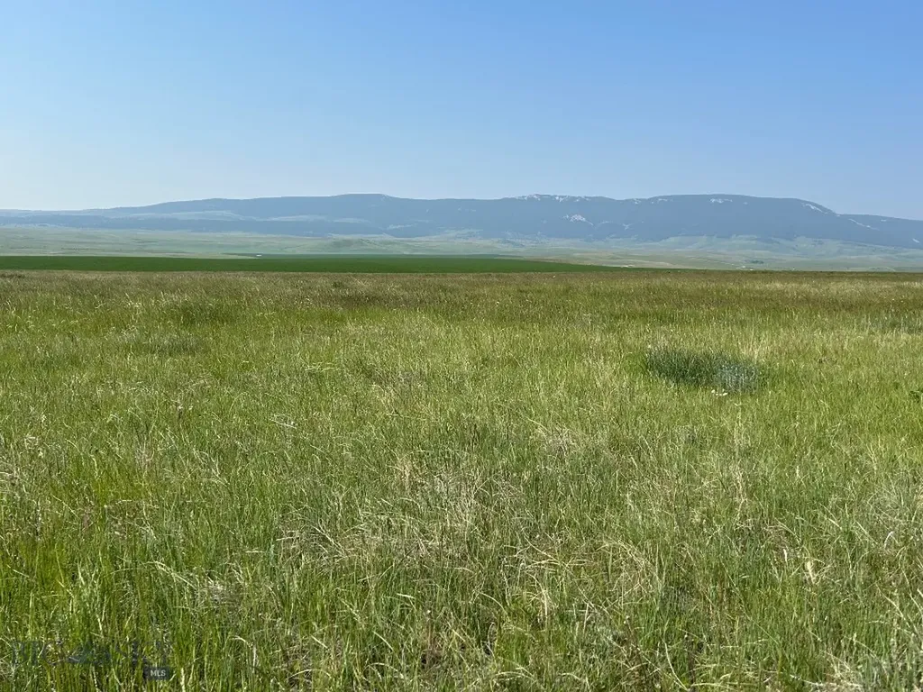 Tbd Ubet Road Buffalo MT 59418