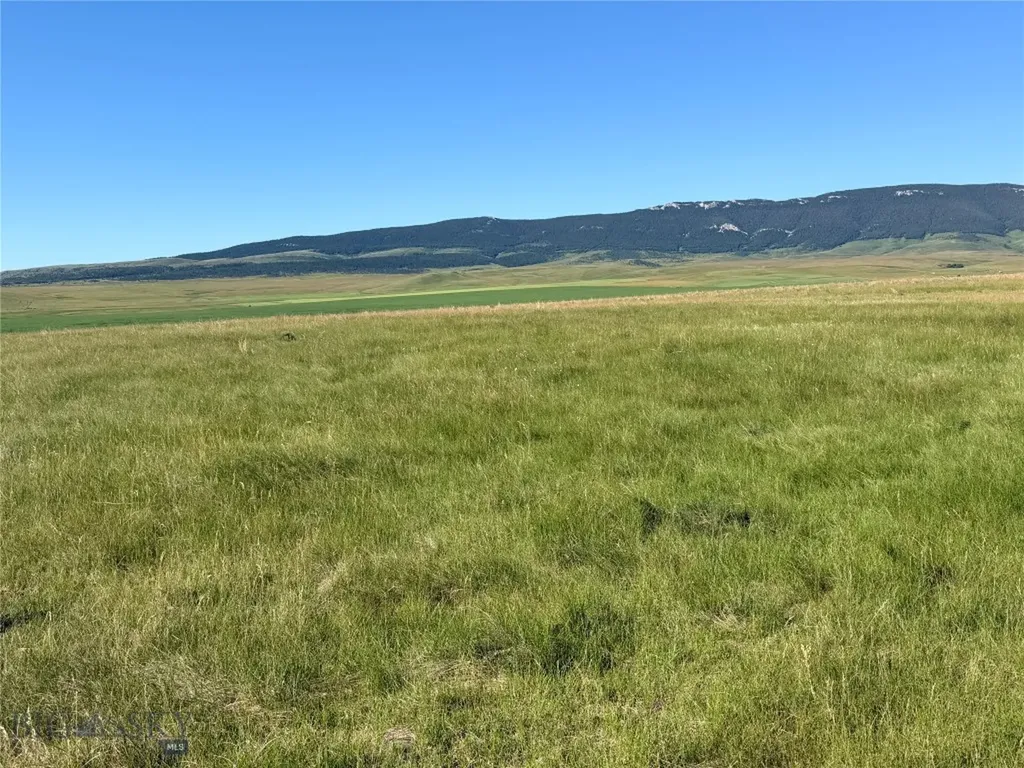 Tbd Ubet Road Buffalo MT 59418