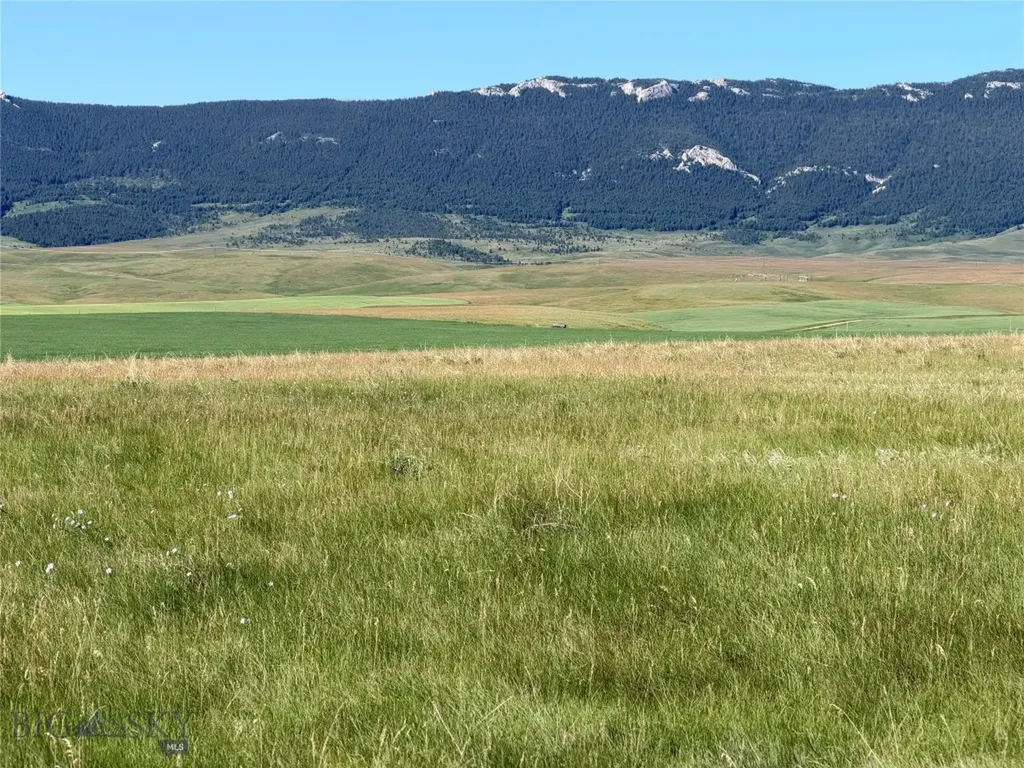 Tbd Ubet Road Buffalo MT 59418