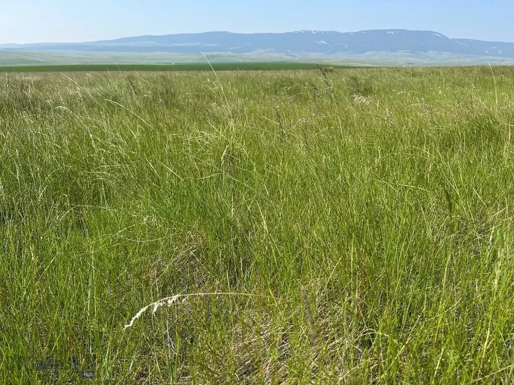 Tbd Ubet Road Buffalo MT 59418