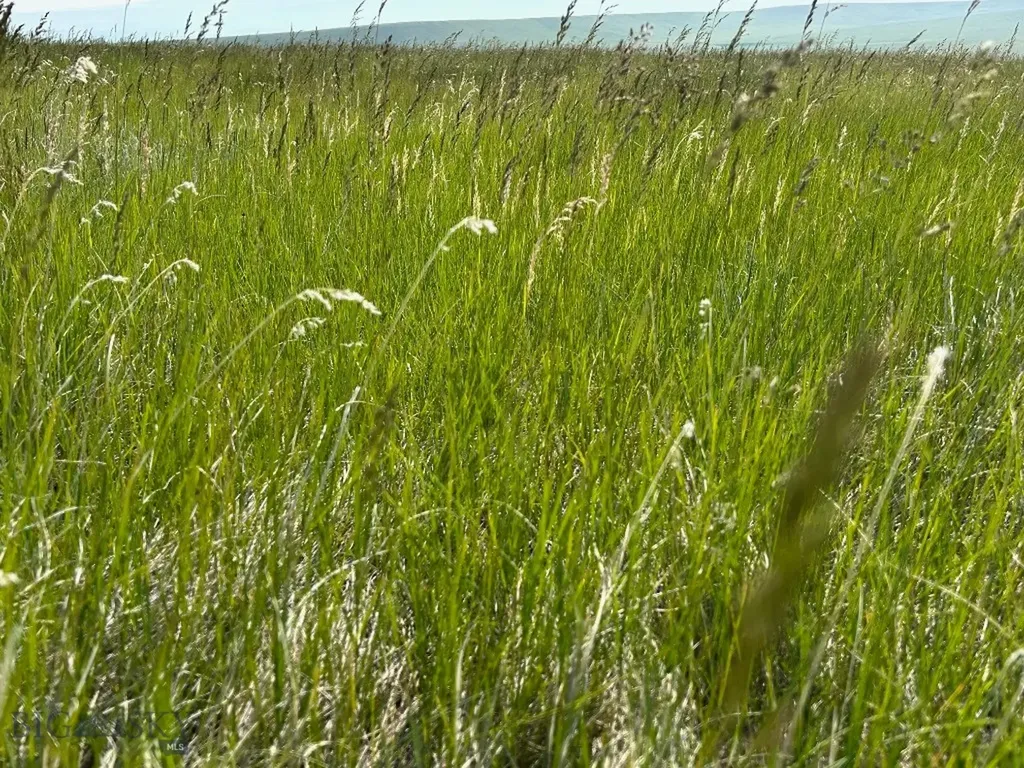 Tbd Ubet Road Buffalo MT 59418