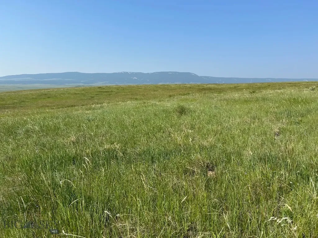Tbd Ubet Road Buffalo MT 59418
