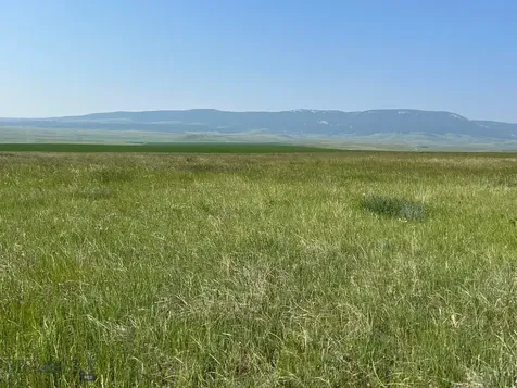 TBD Ubet Road Buffalo MT 59418