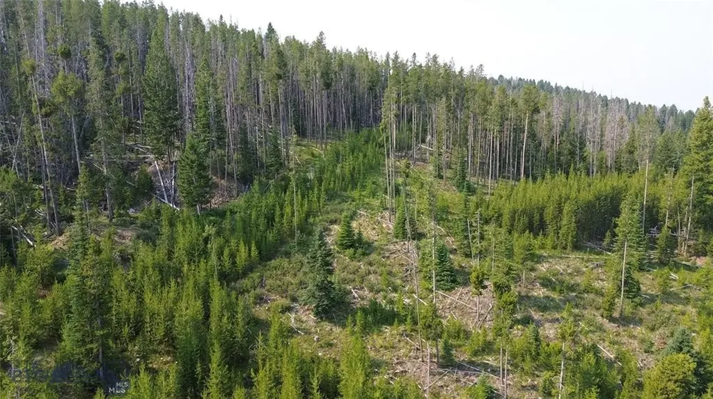 Nhn Old Georgetown Road Anaconda MT 59711