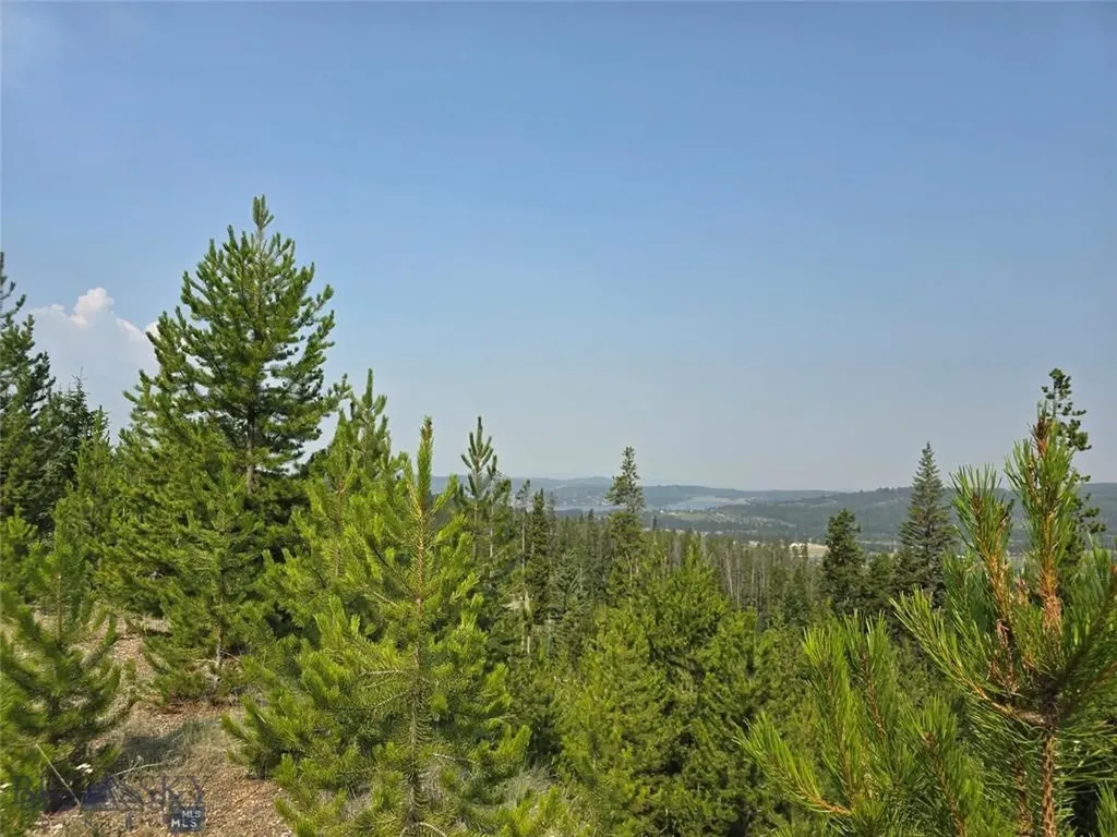 Nhn Old Georgetown Road Anaconda MT 59711