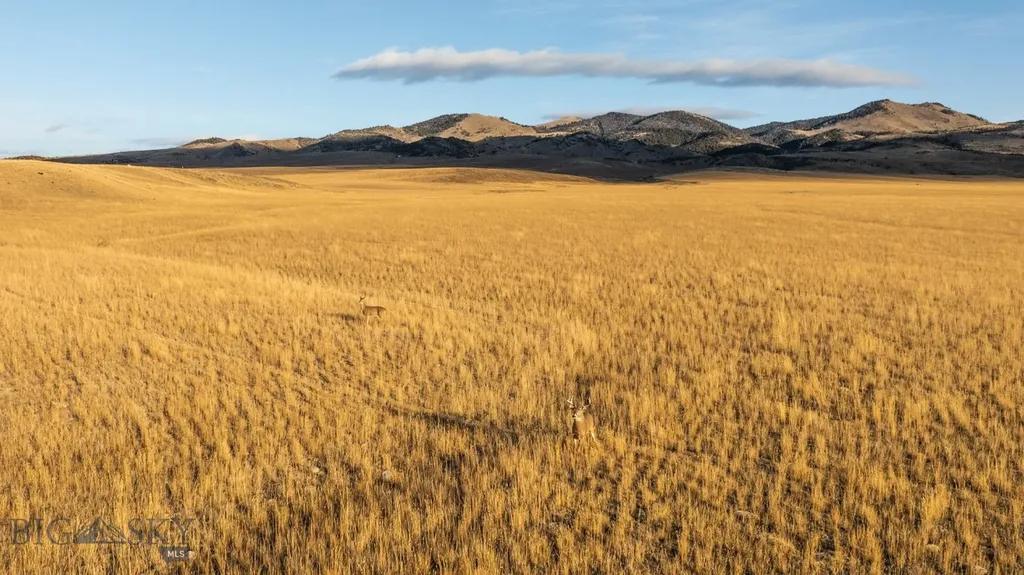 Tbd Buster Brown Road Dillon MT 59725