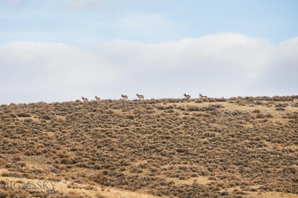 Tbd Buster Brown Road Dillon MT 59725