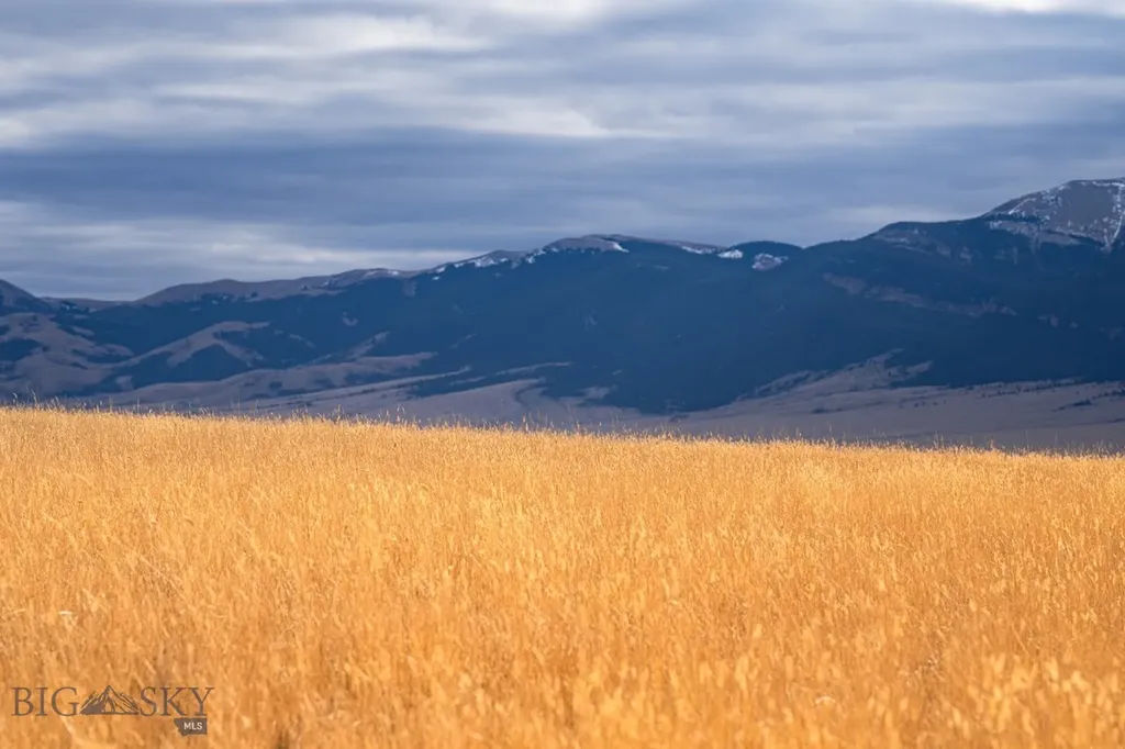 Tbd Buster Brown Road Dillon MT 59725