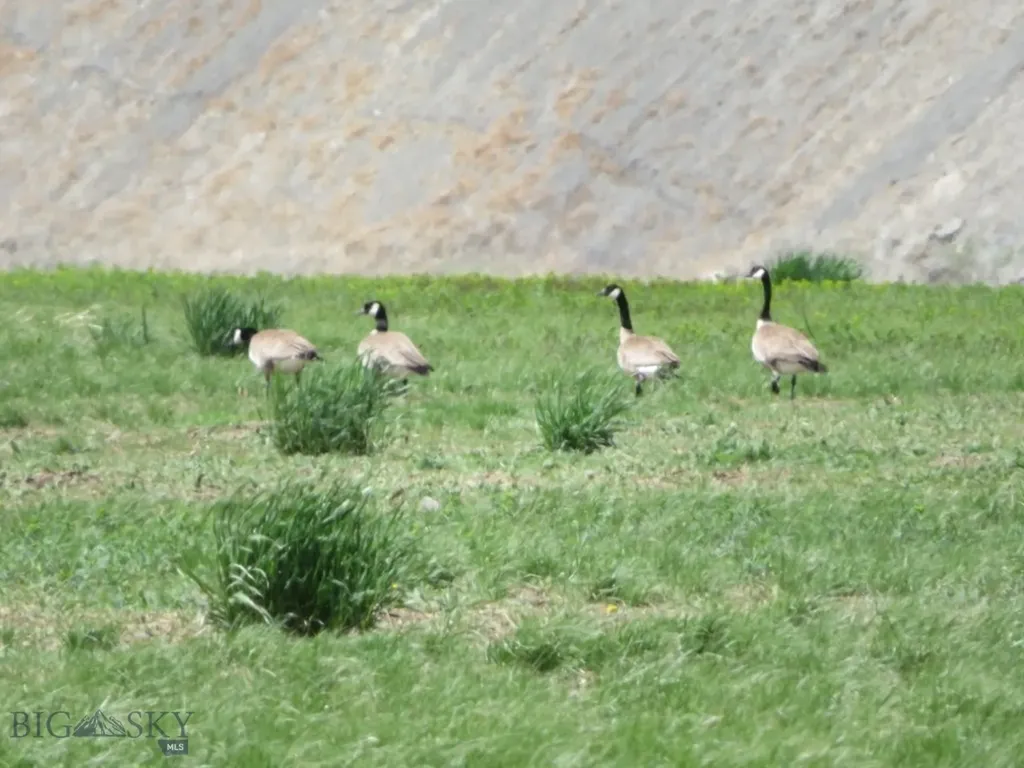18 Vernon Road Highwood MT 59450