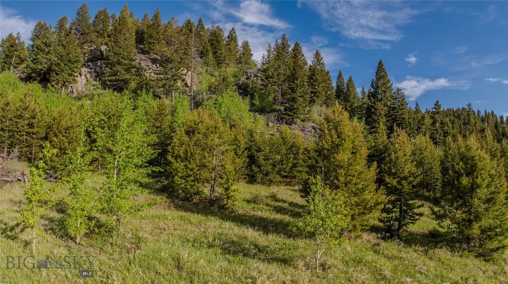 72 Big Indian Gulch Clancy MT 59634