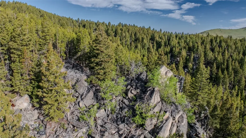 72 Big Indian Gulch Clancy MT 59634