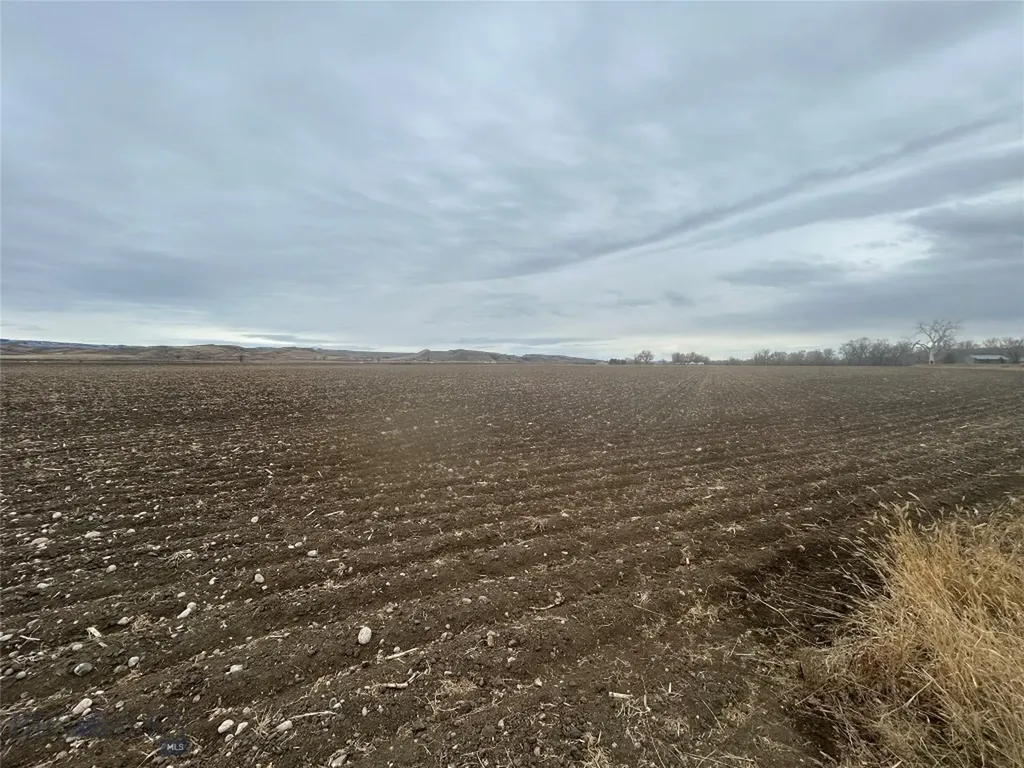 Tbd Lower River Road Fromberg MT 59029