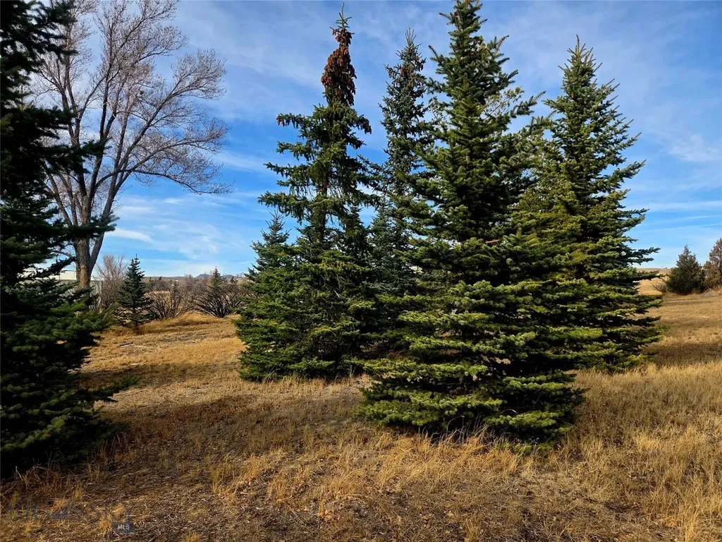 117 Yellowstone Whitehall MT 59759